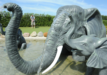 Elephant fountain
